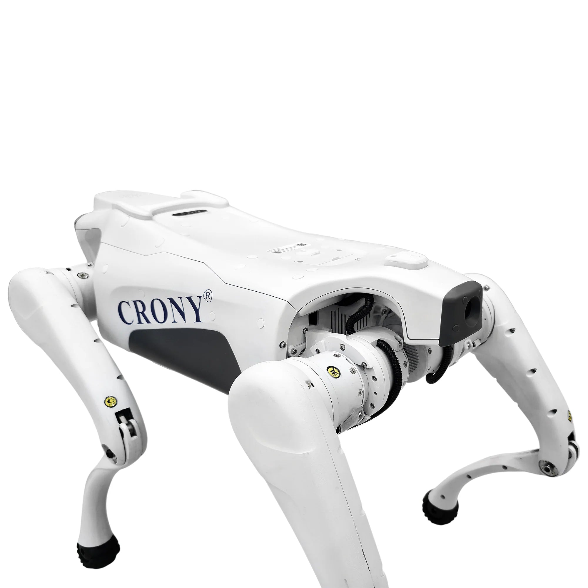 CRONY Advanced AI Intelligent Robot Dog with 8-Core AI Processor, Smart Navigation, 4G Connectivity & Ultra-HD Camera