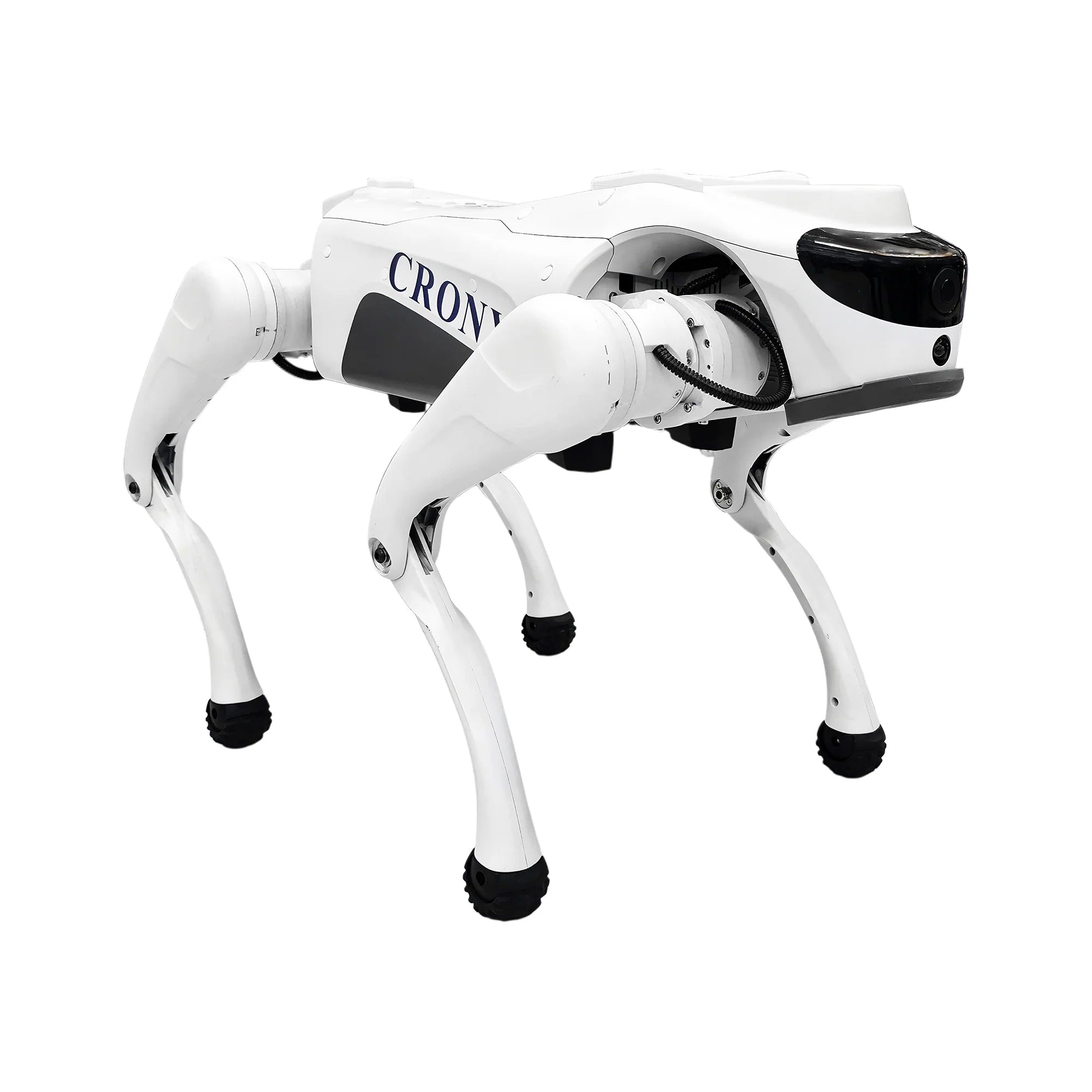CRONY Advanced AI Intelligent Robot Dog with 8-Core AI Processor, Smart Navigation, 4G Connectivity & Ultra-HD Camera