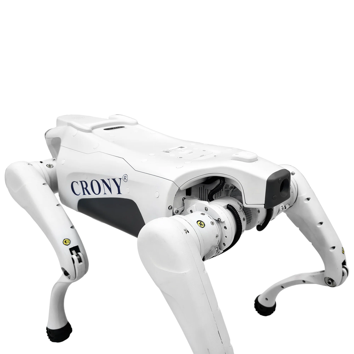 CRONY PROFESSIONAL ROBOT DOG 50-60HZ 220-240V