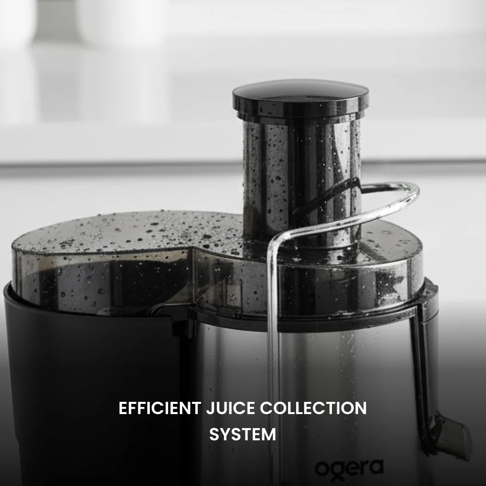 Ogera Juicer Machine 450W Power Juice Extractor for Fruits & Vegetables Dual Speed Juicer OG1650JE