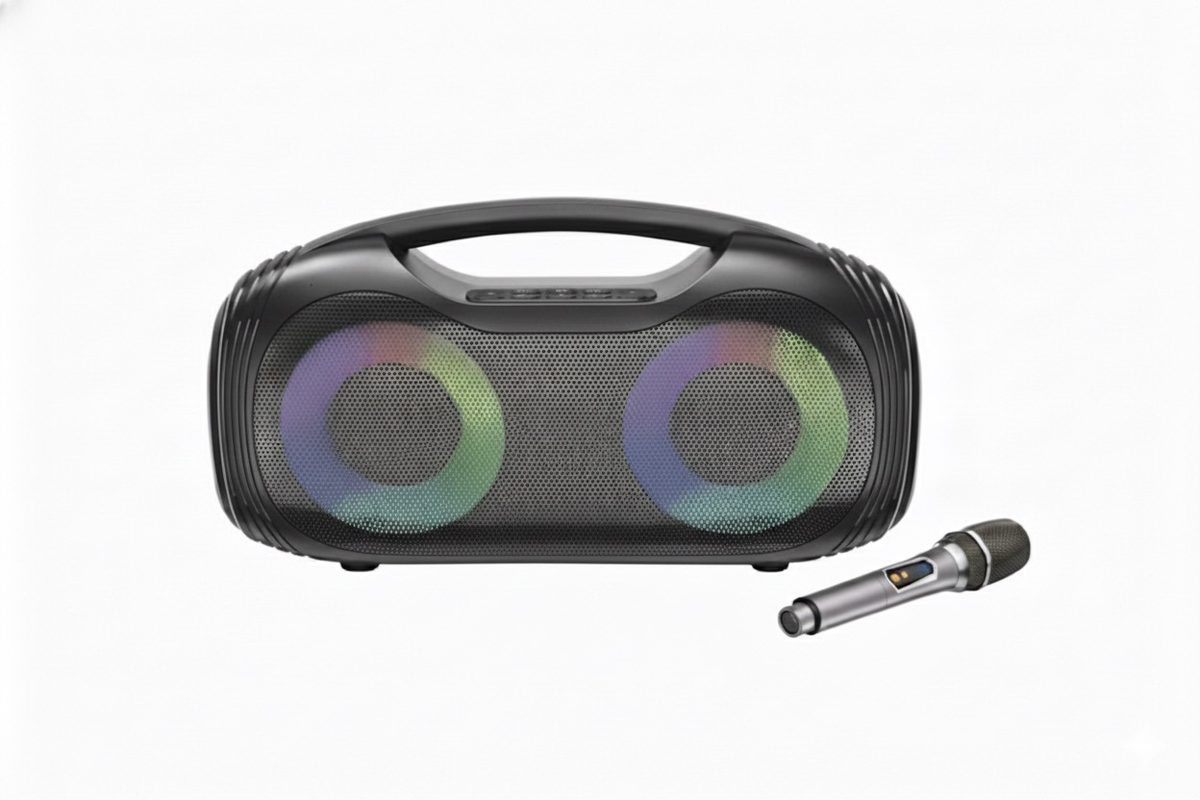 Brodu BTS-2313 /4 inch with wireless mic reseller 1800php