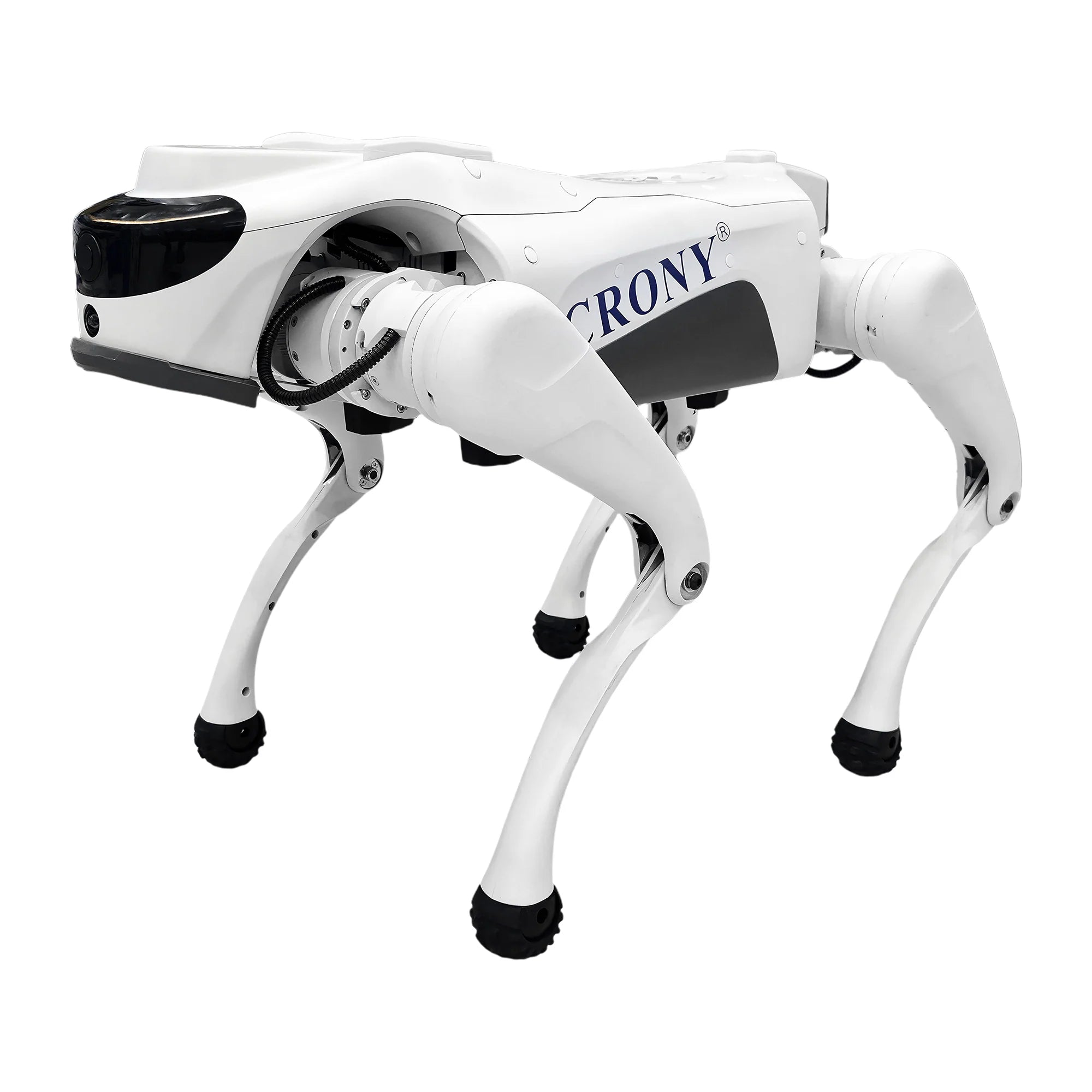 CRONY Advanced AI Intelligent Robot Dog with 8-Core AI Processor, Smart Navigation, 4G Connectivity & Ultra-HD Camera