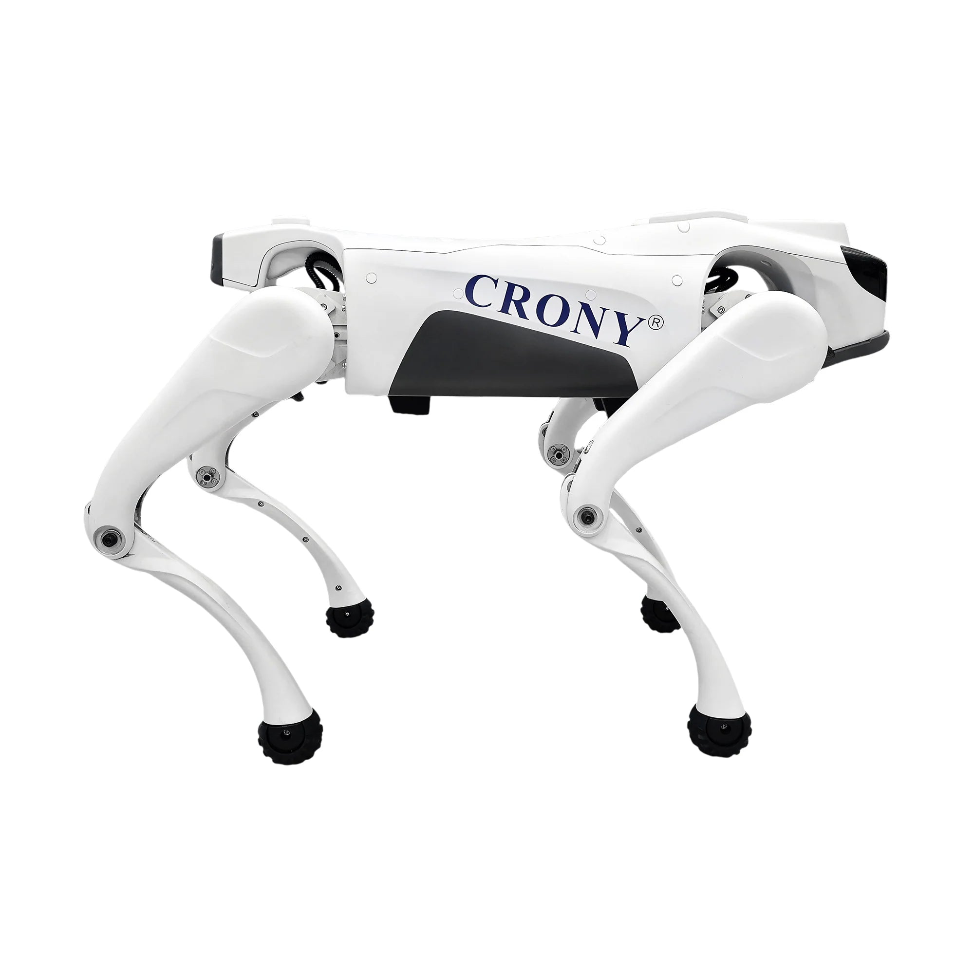 CRONY Advanced AI Intelligent Robot Dog with 8-Core AI Processor, Smart Navigation, 4G Connectivity & Ultra-HD Camera