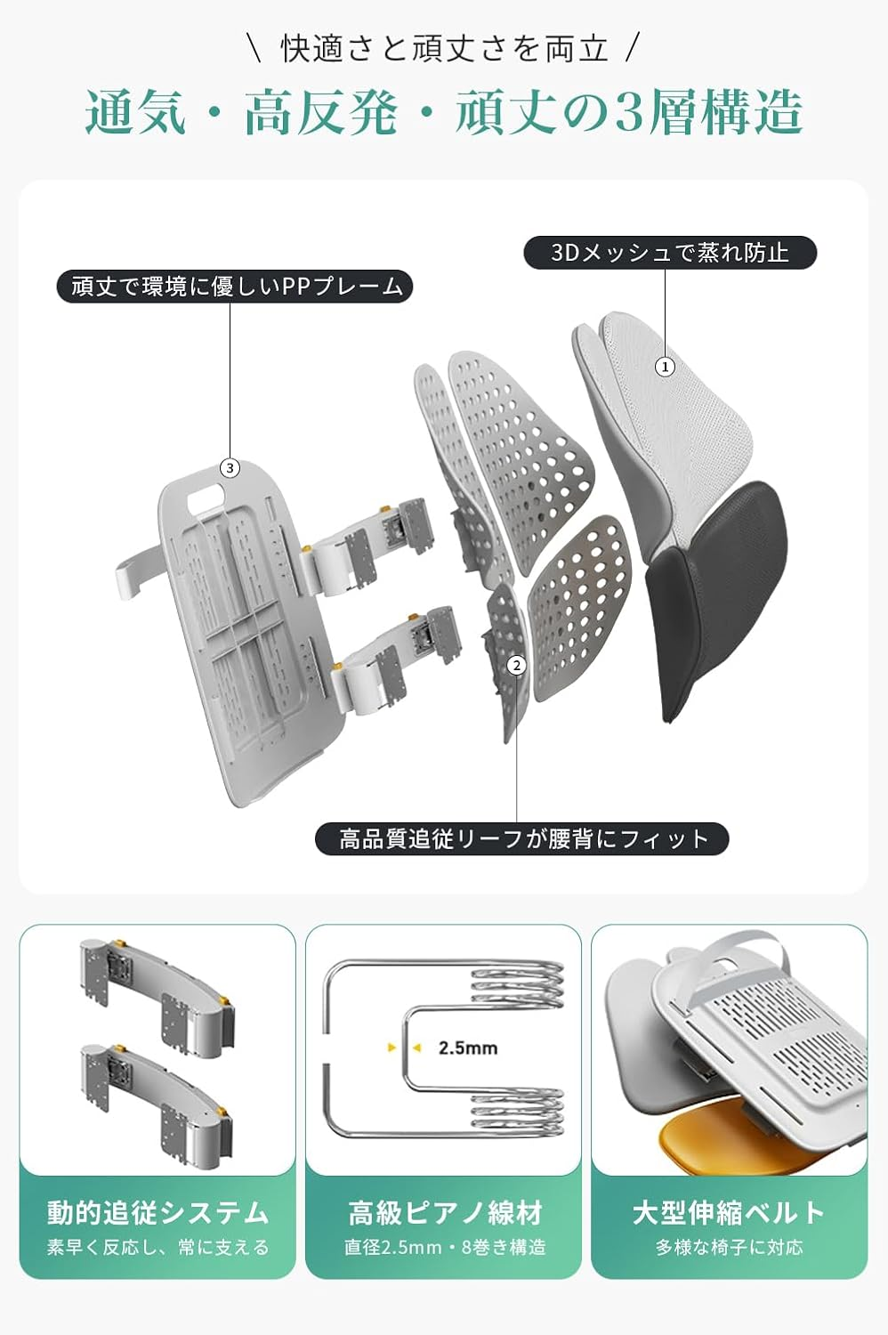 NUOTAI FOUR LEAF ERGONOMIC LUMBAR SUPPORT NTK09