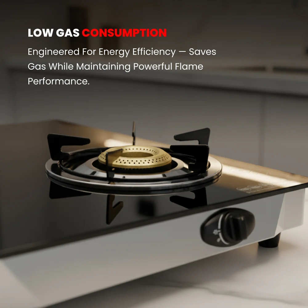 Ogera 2-Burner Gas Stove OG3014GC5 Prong Cast Iron Pan Support