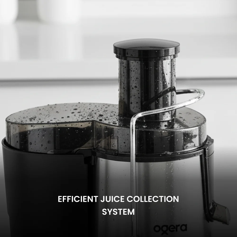 Ogera Juicer Machine 450W Power Juice Extractor for Fruits & Vegetables Dual Speed Juicer OG1650JE