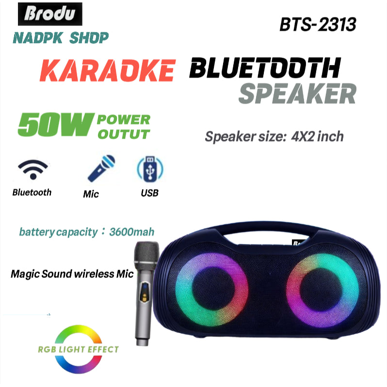 Brodu BTS-2313 /4 inch with wireless mic reseller 1800php